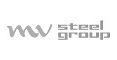 MV steel group